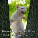 ���� �������, ������, 54 ���� - ��������� 23 �������� 2020 � ������ ���� ����������