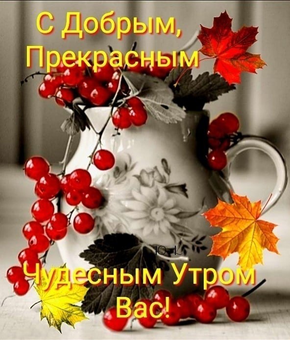   ,    . - 6  2020  12:15 - 5