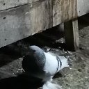 ���� �����, ������� - ��������� 18 ������� 2020 � ������ ���� �����