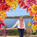 ���� �������, ��������� - ��������� 12 ������� 2020 � ������ ���� ����������