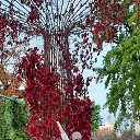 ���� ��������, ������, 59 ��� - ��������� 19 ������� 2020 � ������ ���� ����������