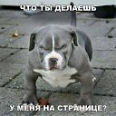 ���� ���������, �����-���������, 54 ���� - ��������� 5 ������� 2020 � ������ ���� ����������
