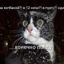 ���� Kotofey, ���� - ��������� 10 ������ 2020 � ������ ���� ����������