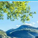 ���� �����, ���� - ��������� 11 ������ 2020 � ������ ���� ����������