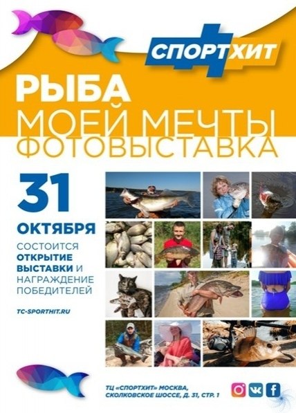 31 o: o ca a o   aa o oca! 31 o  12.00 ...
