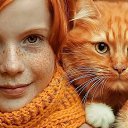 ���� ����, ���������, 61 ��� - ��������� 2 ������ 2020 � ������ ������ ��������