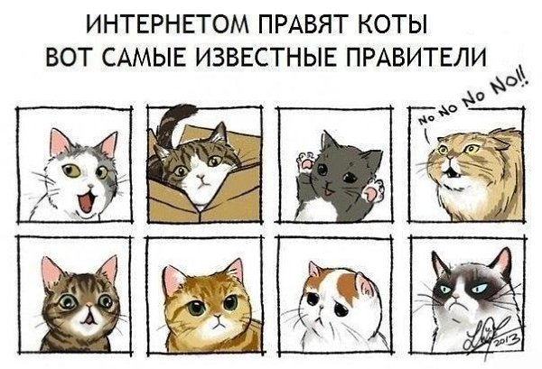    - 23  2020  21:56