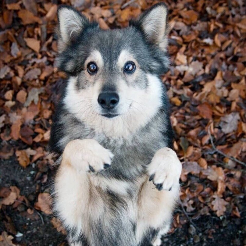  e ep a,  po  e .  o p  .     ... - 6