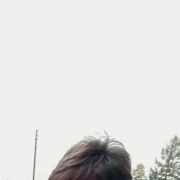 �������, ���������, 56 ���