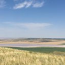 ���� �����, ����������, 51 ��� - ��������� 10 �������� 2020 � ������ ���� ����������