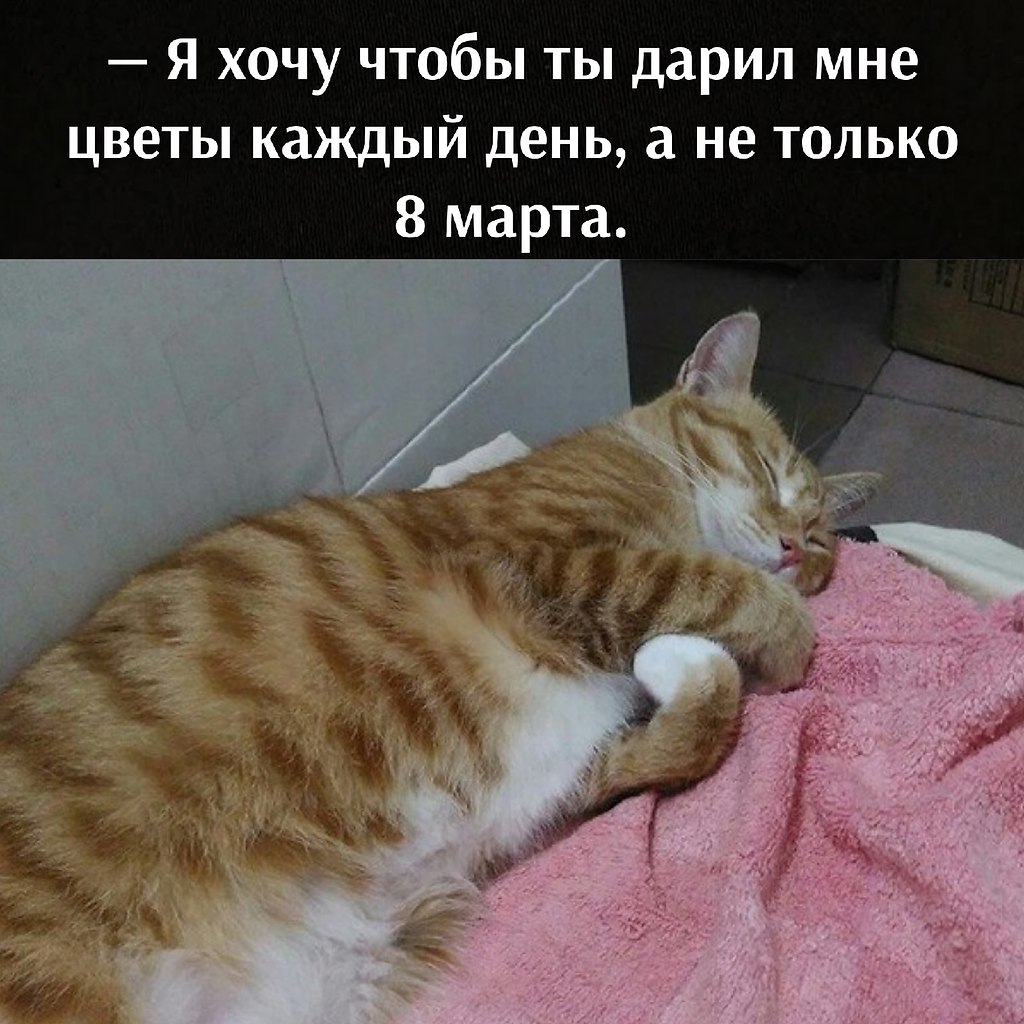       - 16  2021  11:14