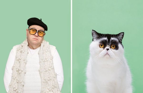 Фотограф Джеррард Гетингс показал, насколько котики похожи на нас - 6