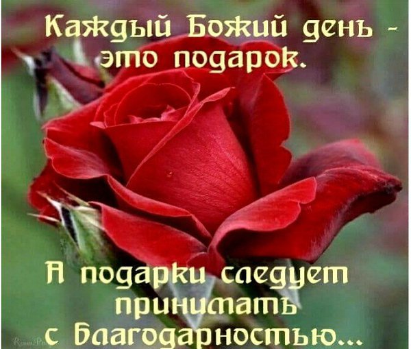  - 13  2020  22:01