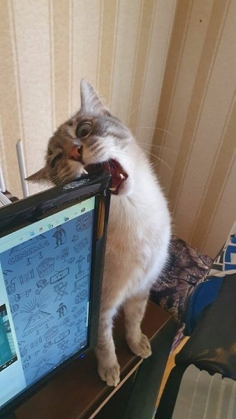   ))) - 2