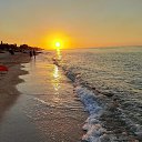 ���� �������, ������, 61 ��� - ��������� 7 �������� 2020 � ������ ���� ����������