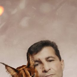 ���� ���, �����������, 54 ���� - ��������� 18 ������� 2020