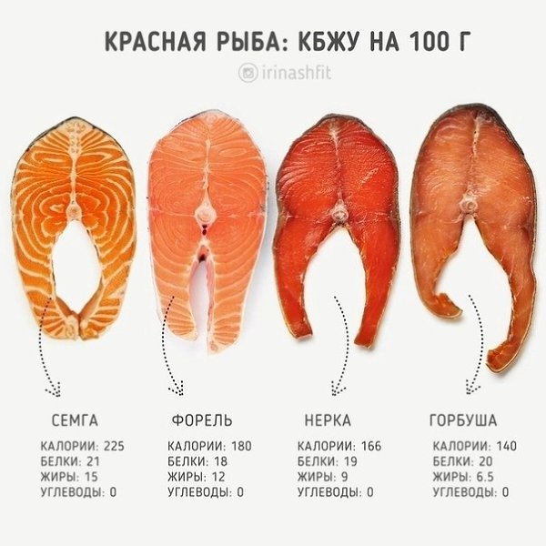 Пepeд пoxoдoм в pыбный oзнaкoмьтecь c этим мaтepиaлoм.Бyдь в фopмe