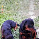 ���� - Inferno, ������ - ��������� 16 ������ 2021 � ������ ���� ����������