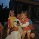 ���� ����, ���������, 63 ���� - ��������� 17 ������� 2020 � ������ ���� ����������