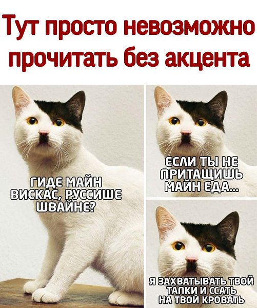 ������ - 10 ������ 2021 � 15:37