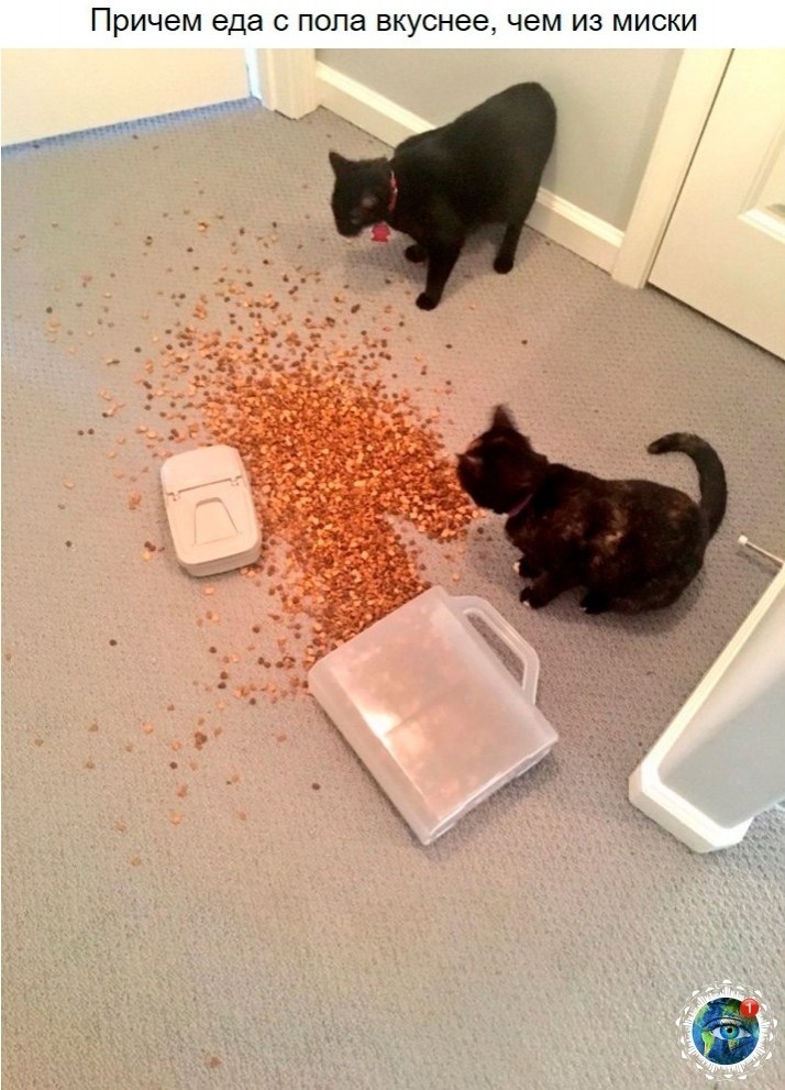 10 p oa e ao oo, o  e e ocaee.)  paa. - 3