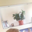 ���� �����, ��������� - ��������� 2 ������� 2021 � ������ ���� ����������
