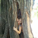 ���� Fledermaus, ������ - ��������� 16 ������� 2021 � ������ ���� ����������