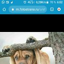 ���� ������, ��������, 58 ��� - ��������� 26 �������� 2020 � ������ ���� ����������