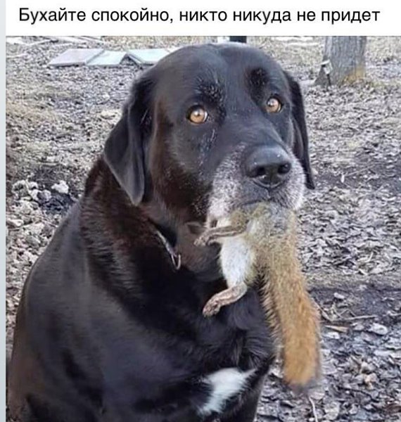 Fr@nchesk@ - 3  2021  10:59 - 2