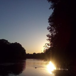 �������, �������, 51 ���