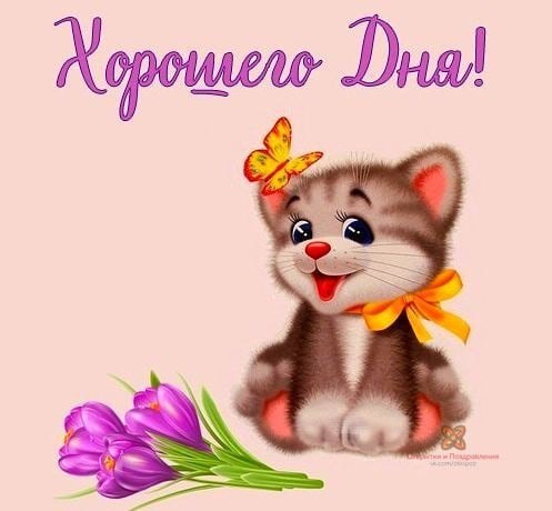   ,    . - 24  2021  22:44