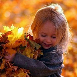 �����, ���������