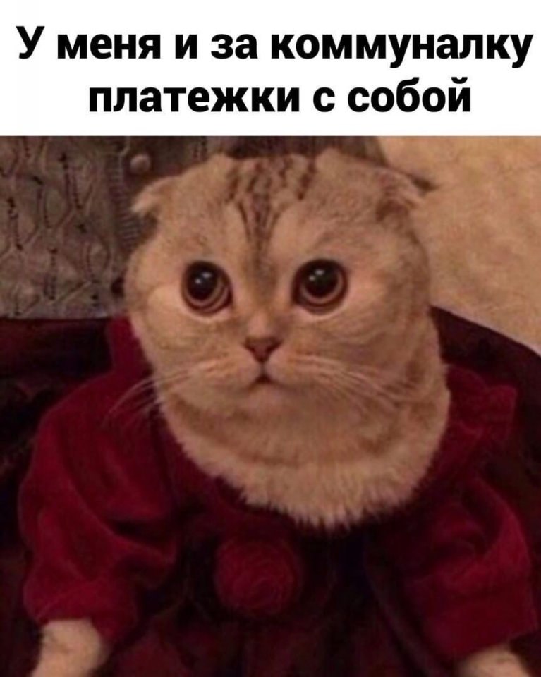       - 4
