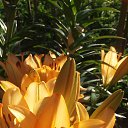 ���� ������, ��������, 53 ���� - ��������� 17 ������ 2021 � ������ ���� ����������