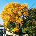 ���� Dato, ������, 58 ��� - ��������� 15 ������� 2020 � ������ ���� ����������