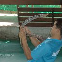 ������������� �� ������� ���� ����������