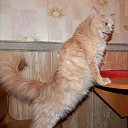 ���� ����, ����� - ��������� 18 ������� 2020 � ������ ���������� ������