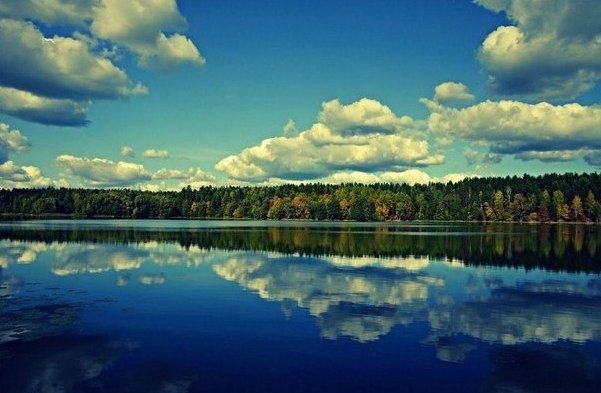 �o��� - ����