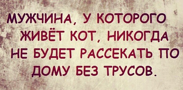 ***Victoria Viktorovna*** - 13  2021  14:56