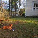 ������ ���� ������� ��� �����. ����� ������������! �� ������ ����� �� ������� 23.11.2020... �� ������� ��� ����...�