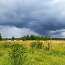 ���� ������, �����������, 72 ���� - ��������� 14 �������� 2020 � ������ ���� ����������