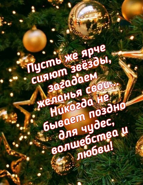 ���� - 29 ������� 2020 � 08:14