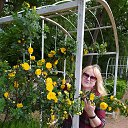 ���� �������, �����������, 64 ���� - ��������� 26 ������� 2020