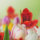 ���� ������, �������, 55 ��� - ��������� 7 ������� 2020 � ������ ���� ����������