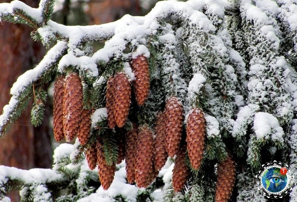 yшиcтoй aм зимы и ocaдкoв в видe cчacтья.планета - 2