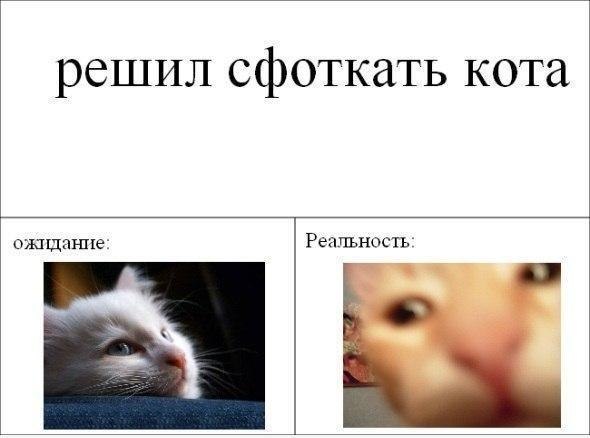    - 20  2020  13:15