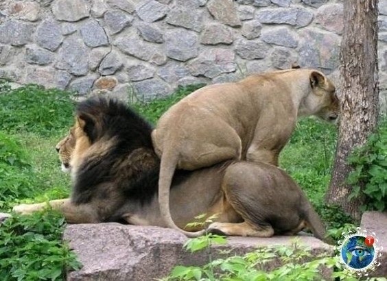 o pe e op e  a capac o 30-40 pa  e, o ec ae ... - 4