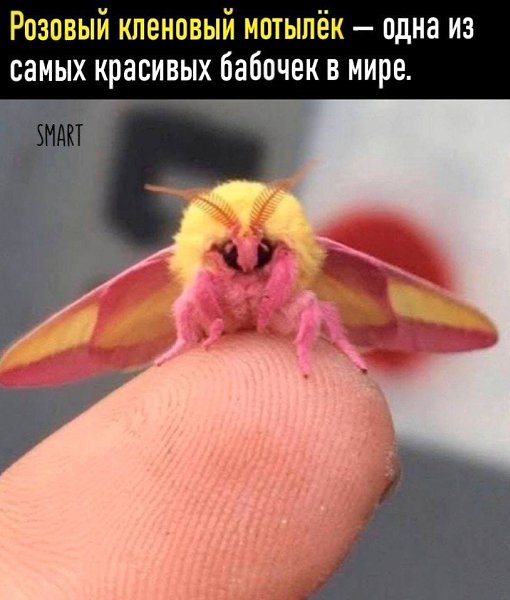 ������������, �� �a�� ����c���e �e��.B�e o ��y�� � �e����o���x - 3