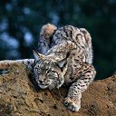 ���� Evi, ������ - ��������� 7 ����� 2021 � ������ ������ ��������