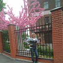 ���� �����, ���������, 49 ��� - ��������� 10 ������ 2021 � ������ ���� ����������